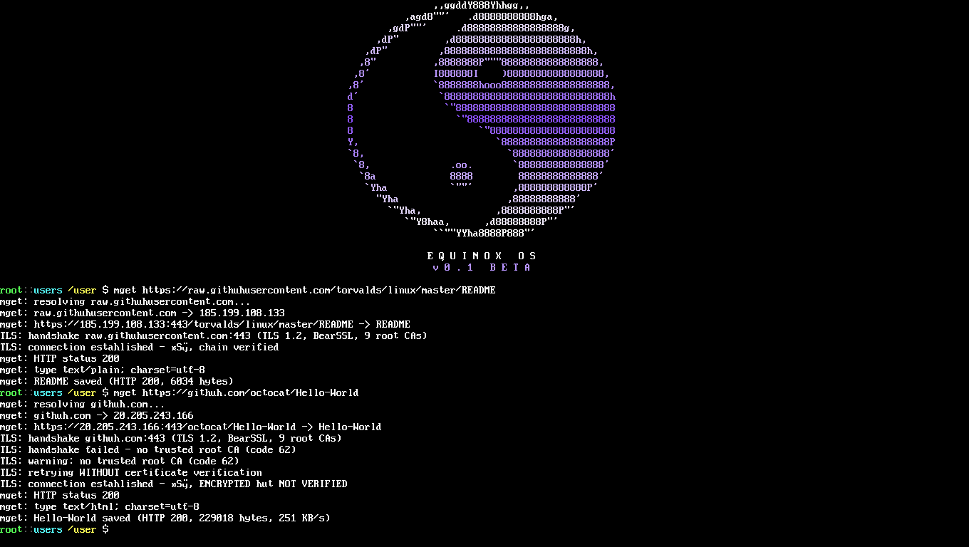 TLS demo